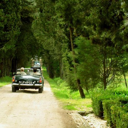 Quinta Da Alcaidaria Mor Villa โอเร็ม ภายนอก รูปภาพ