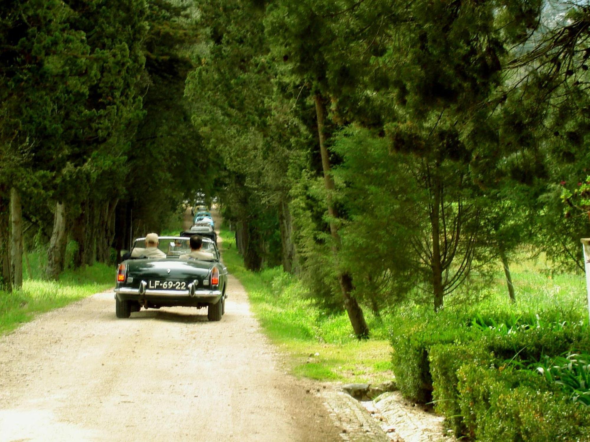 Quinta Da Alcaidaria Mor Villa โอเร็ม ภายนอก รูปภาพ